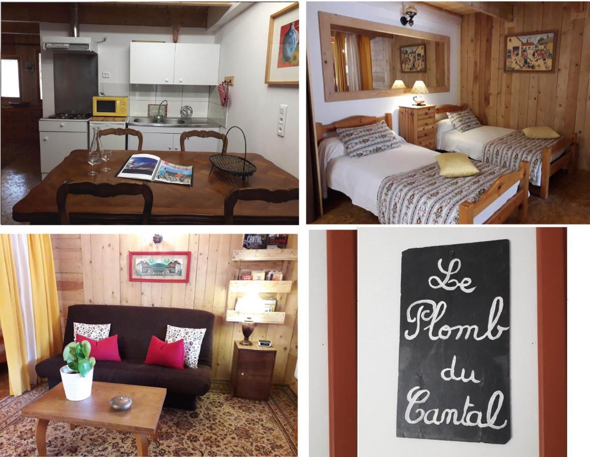 Apartmán Meuble De Tourisme La Jaulipiere Joursac Exteriér fotografie