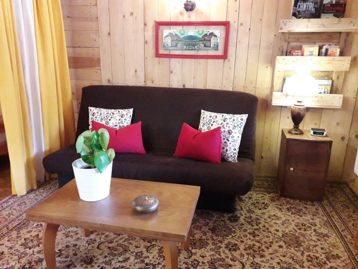 Apartmán Meuble De Tourisme La Jaulipiere Joursac Exteriér fotografie